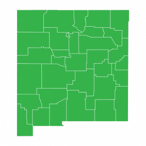 new mexico counties (1)