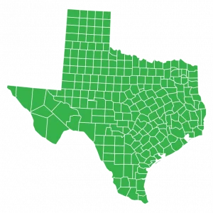 texa counties
